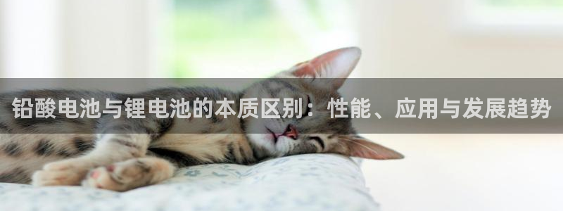 凯时国际官方版