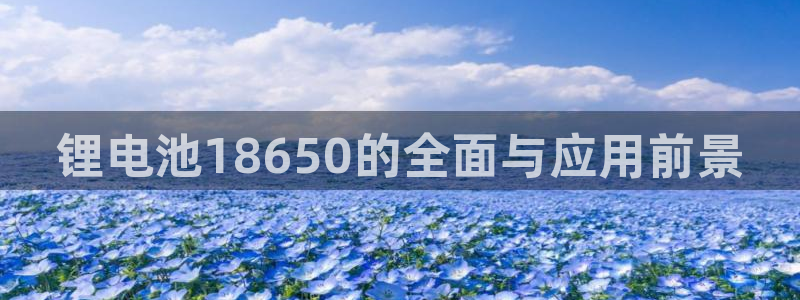 尊龙凯时是正规平台吗