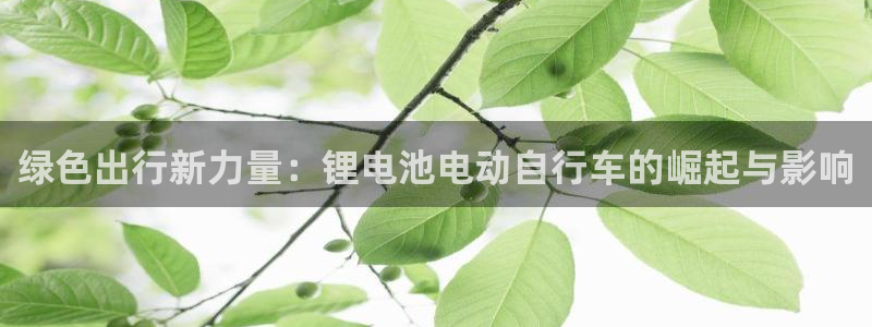 凯时官网