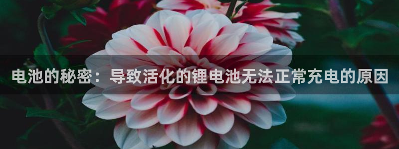 尊龙目前情况