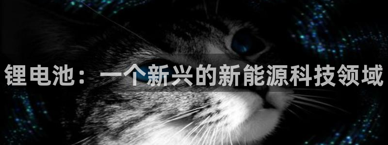 尊龙凯时ag旗舰