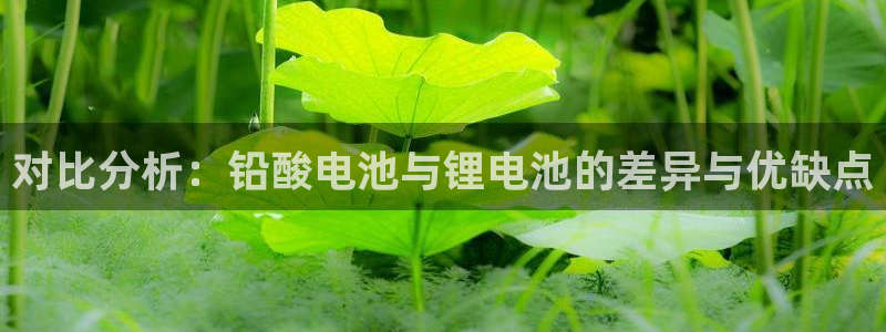 尊龙人品怎么样