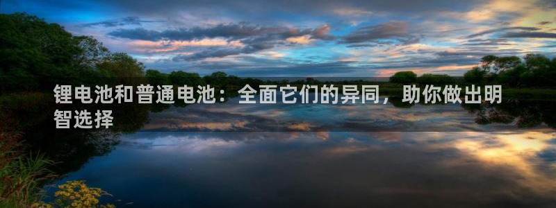 尊龙电子：锂电池和普通电池：全面它们的异同，助你做出明
智选择
