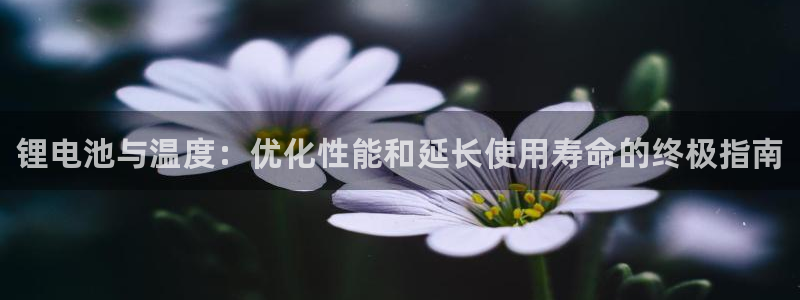 z6尊龙凯时旗：锂电池与温度：优化性能和延长使用寿命的终极指南