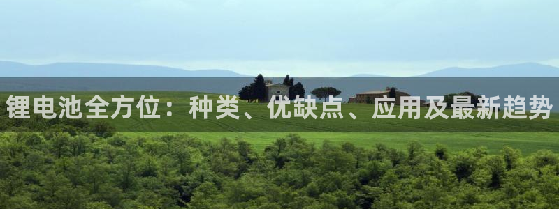 尊龙凯时网站登录：锂电池全方位：种类、优
