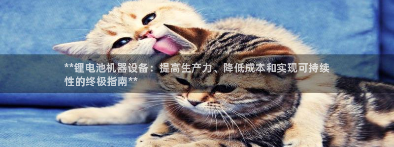尊龙人生就是博登录准认来就送38：**锂电池机器设备：提高生产力、降低成本和实现可持续
性的终极指南**
