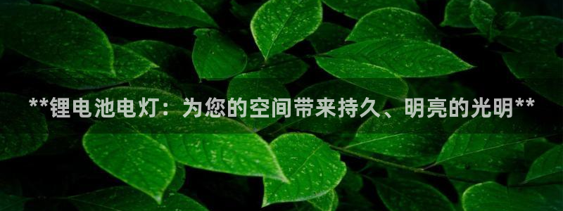尊龙d88官网准认来就送38：**锂电池电灯：为您的空间带来持久、明亮的光明**