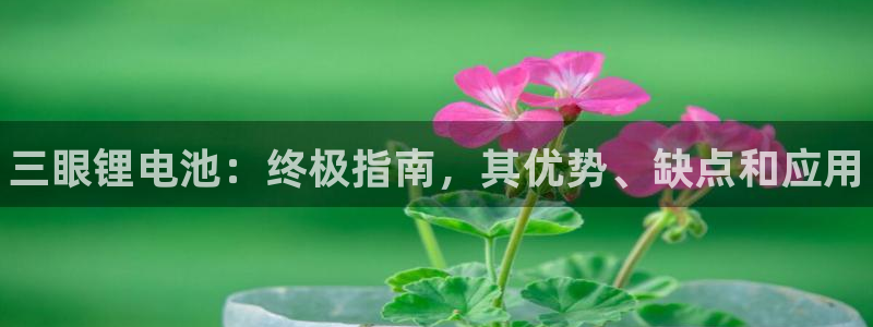 尊龙官方平台：三眼锂电池：终极指南，其优势、缺点和应用