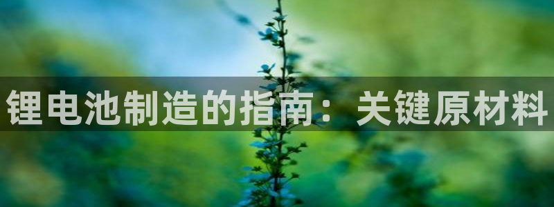 尊龙实业：锂电池制造的指南：关键原材料