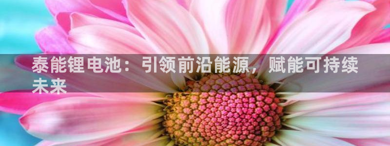 尊龙凯时旗舰厅百家乐下载：泰能锂电池：引