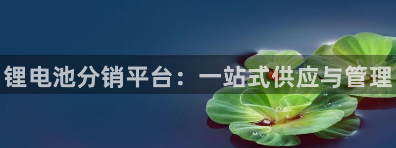 尊龙人生手机版