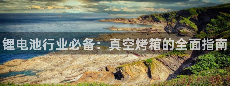 z6尊龙官方网站：锂电池行业必备：真空烤箱的全面指南