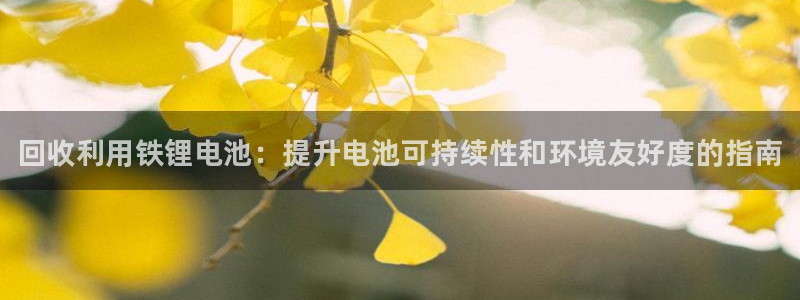 尊龙网页：回收利用铁锂电池：提升电池可持续性和环境友好度的指南