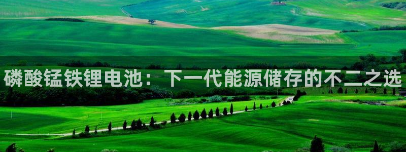 尊龙 6：磷酸锰铁锂电池：下一代能源储存的不二之选