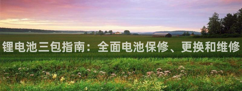 尊龙人生就是博ag旗舰厅：锂电池三包指南：全面电池保修、更换和维修