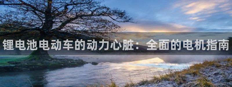 尊龙网平台：锂电池电动车的动力心脏：全面的电机指南