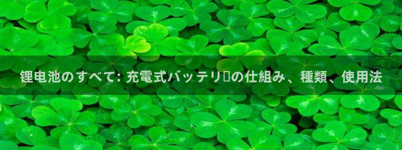 尊龙网址登录官网：锂电池のすべて: 充電式バッテリーの仕組み、種類、使用法