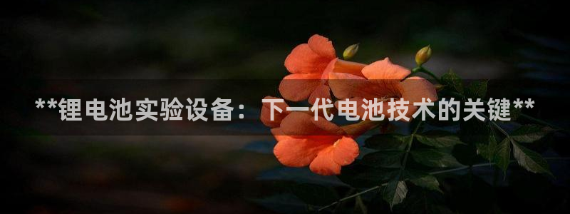 尊龙凯时旗舰厅百家乐下载：**锂电池实验设备：下一代电池技术的关键**