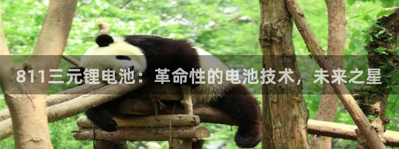 AG尊龙凯时注册：811三元锂电池：革命性的电池技术，未来之星